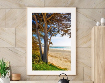 Carmel Beach California, Monterey Cypress Tree Print, California Ocean Photo, Monterey Office Wall Art, Pacific Coast Carmel Beach Fine Art