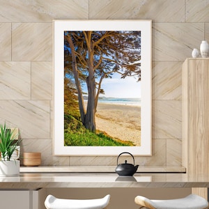 Carmel Beach California, Monterey Cypress Tree Print, California Ocean Photo, Monterey Office Wall Art, Pacific Coast Carmel Beach Fine Art