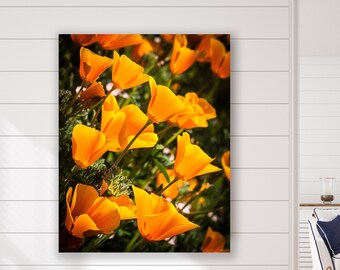 California Poppy Print, Big Sur Poppies, State Park Beach Flower Photo, Macro Flowers, Floral Decor, Vivid Orange Art, Ocean Garden Decor