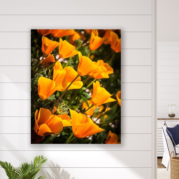 California Poppy Print, Big Sur Poppies, State Park Beach Flower Photo, Macro Flowers, Floral Decor, Vivid Orange Art, Ocean Garden Decor