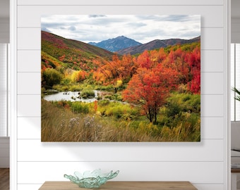 Utah Autumn Landscape Photo Print, Aspen Forest Fall Foliage Colors Alpine Loop, Wasatch Mountains Landscape Canvas,  Rocky Mountains Maples