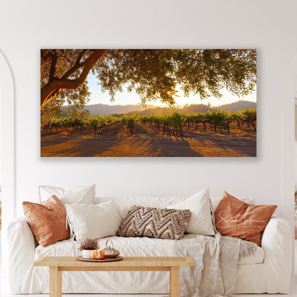 Napa Valley Vineyard Sunset Photo, California Olive Tree, Autumn Wine Country, Fall Winery, Office Wall Canvas, Winery Harvest Calistoga Art