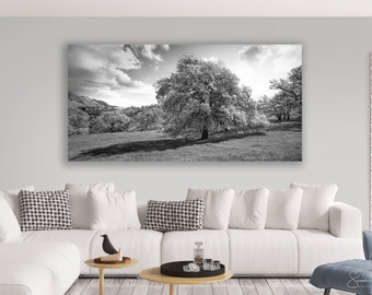 Oak Tree Black White, Mount Diablo Canvas Wall Art, Hillsides, Foothills, Greenery, Landscape Photo, Mt. Diablo California, Walnut Creek Art