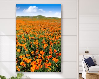 Estampado de flores de amapola de California, paisaje de amapolas pacíficas, lienzo de amapolas boho, foto de la naturaleza de Los Ángeles, decoración del país de la reserva de amapolas de antílope