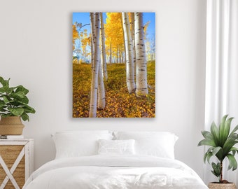 Autumn Photography, Aspen Grove Print, Fall Home Decor, Utah Country Charm, Fall Color Art, Large Photo On Canvas, Tree Art, Limited Edition