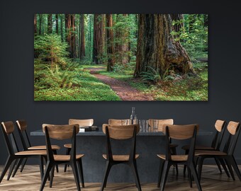 California Redwood Decor, Oversized Sequoia Canvas, Redwood Tree Photo, Rustic Art, Pacific Northwest Print, Humboldt Forest, Peaceful Scene