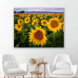 Large Canvas Flower Wall Art Sunflower Home Decor California - Etsy