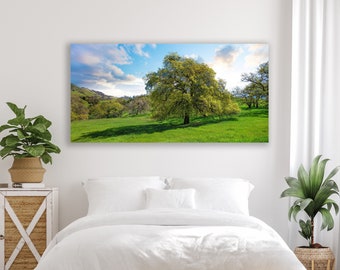 Oak Tree Print, Mount Diablo Canvas Wall Art, Large East Bay Park Photo, Landscape Photography Mt. Diablo California, Walnut Creek Fine Art