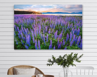 Wildflower Lupine Print, Lake Tahoe Flower Canvas, Large California Floral Photo, Dreamy Fine Art Home Decor, Purple Blue Flower Picture
