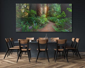 Redwood Tree Photo, California Giant Sequoia Forest Photo, Oversized Misty Redwood Canvas, Heavenly Art, Prairie Creek Redwoods State Park