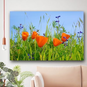 Poppy Print, Mt. Diablo Photography, East Bay Photo, Spring Fever, Landscape Photography, California Wildflowers, Large Peaceful Wall Decor