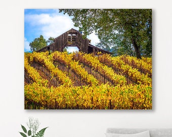 Fall Harvest Art, Large California Vineyard Photography, Large Sonoma Canvas, Scenic Wine Photo, Rustic Old Barn Decor, Susan Taylor Photo