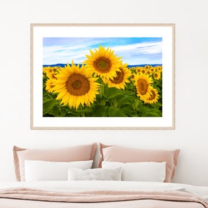 Sunflower Print Oversized Flower Photo on Canvas Scenic - Etsy