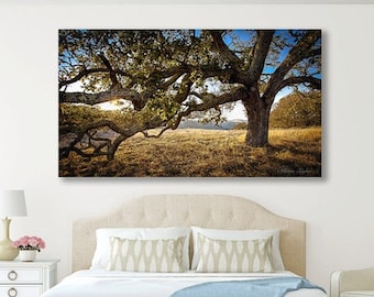 Large Panorama Tree Print, California Landscape Photo, Bay Area Wall Art, Oak Tree Sunset Print, Majestic Tree, Fine Art, Scenic Canvas Art
