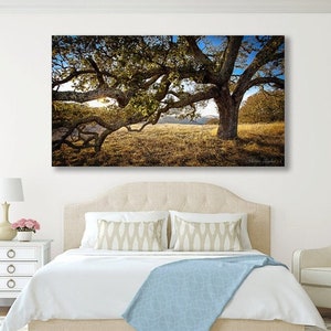 Large Panorama Tree Print, California Landscape Photo, Bay Area Wall Art, Oak Tree Sunset Print, Majestic Tree, Fine Art, Scenic Canvas Art