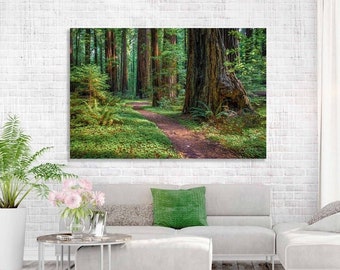 Redwood Tree Photography, Large Nature Canvas, Redwood Tree Print, Rustic Art, Susan Taylor, Pacific Coast Photo, Mystical Forest, Wall Art