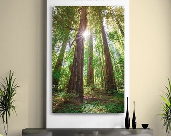 California Redwood Print, Large Coastal Tree Canvas Art, Minimalist, Mountain Landscape, Pacific Northwest Home Decor, Redwood Forest Art