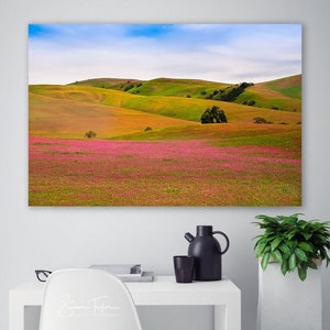 California Flower Landscape, Wildflower Print, California Hills Photo, Pink Flower Canvas, Yellow Pink Green Blue, Large Flower Home Decor