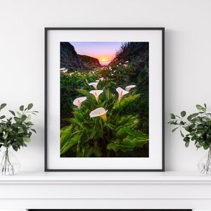 Beach Flower Photo, Big Sur Canvas, Lily Print, Pacific Ocean Flower Art, California Ocean Home Decor, Fine Art, Large Floral Wall Decor