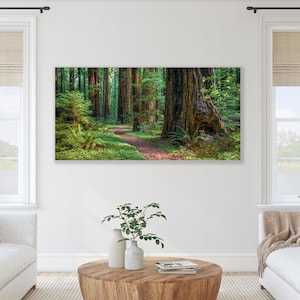 California Redwood Decor, Oversized Sequoia Canvas, Redwood Tree Photo, Rustic Art, Pacific Northwest Print, Humboldt Forest, Peaceful Scene