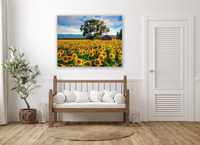Flower Photography Sunflower Canvas Photo Country Charm Art - Etsy