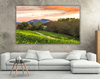 Mount Diablo, California Landscape Photography, Mt. Diablo, East Bay Trail Print, Green Grass Wall Art, Sunset Clouds, Fine Art, Martinez