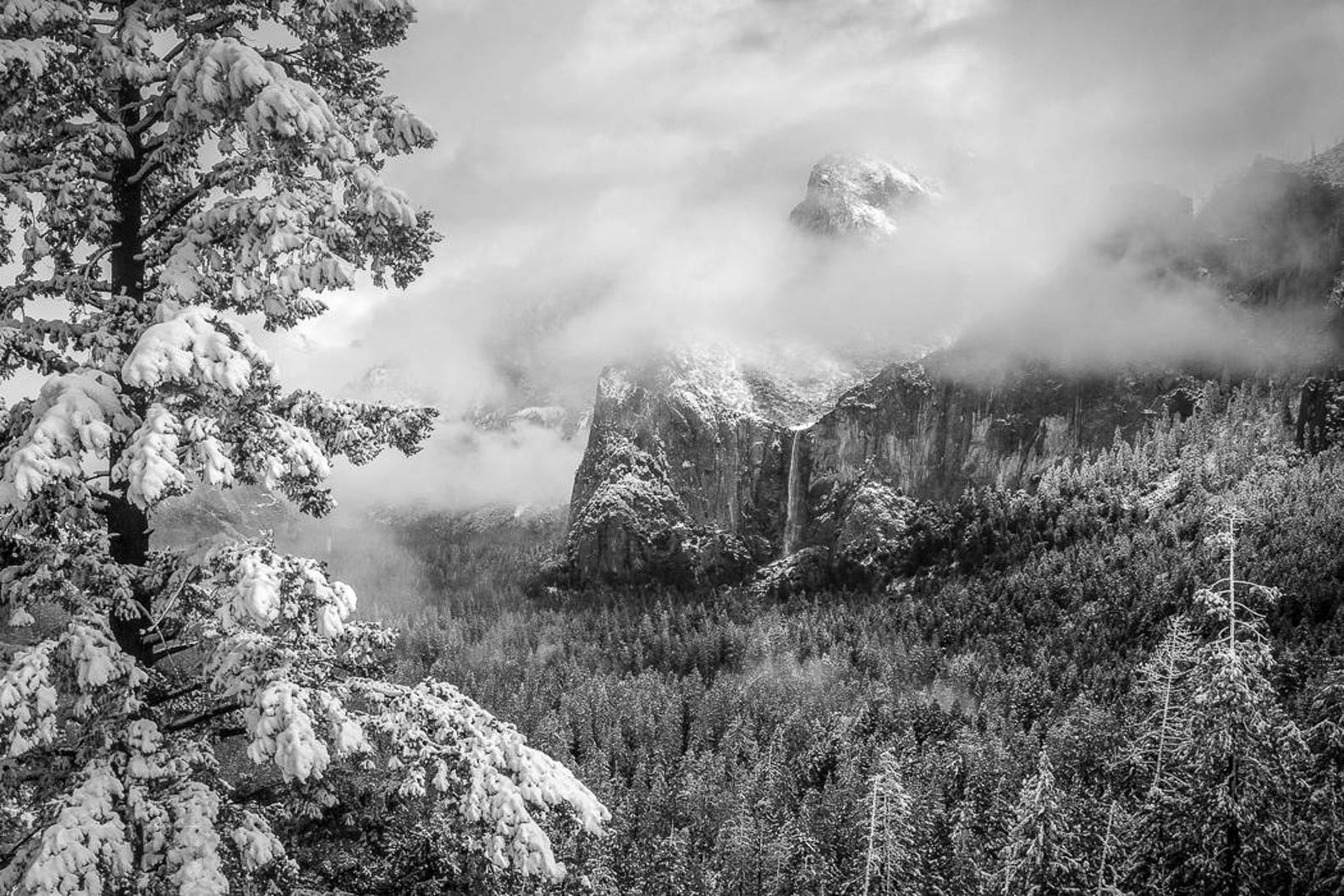 Black and White Yosemite Photo Yosemite Decor Winter Print Etsy