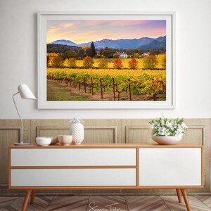 May include: A framed photograph of a vineyard in autumn with rows of yellow grapevines, a white farmhouse in the distance, and a mountain range in the background.