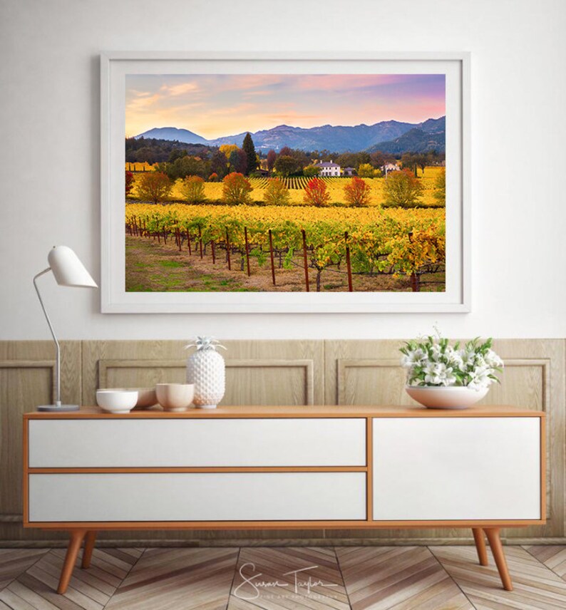 May include: A framed photograph of a vineyard in autumn with rows of yellow grapevines, a white farmhouse in the distance, and a mountain range in the background.
