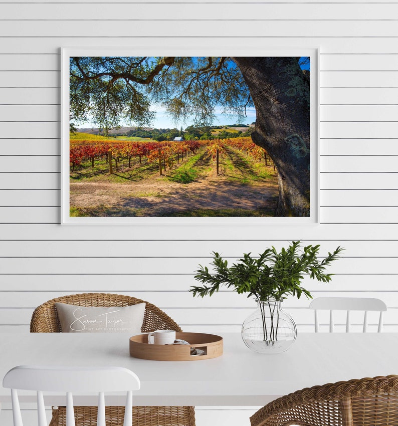 May include: A framed photograph of a vineyard with rows of grapevines in the fall. The vines are a mix of red, orange, and yellow leaves. A large oak tree with branches reaching over the vineyard is in the foreground. The sky is blue with white clouds.