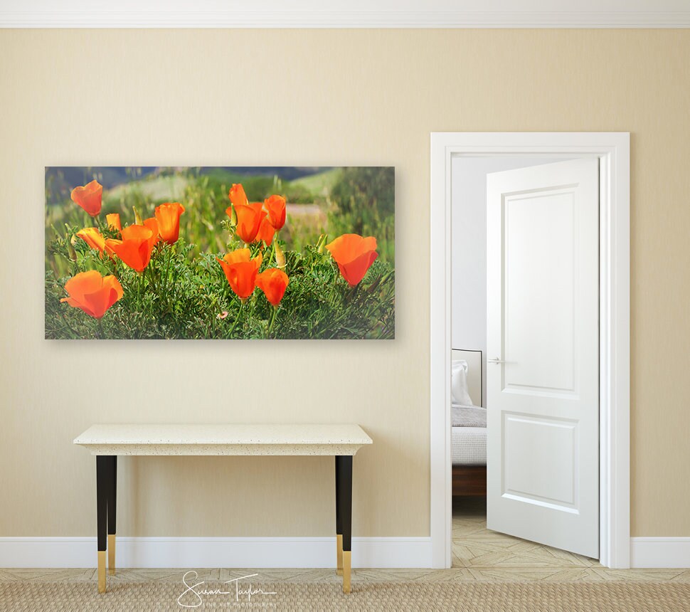 Orange Poppy Wall Art Large Poppy Canvas Print California Etsy
