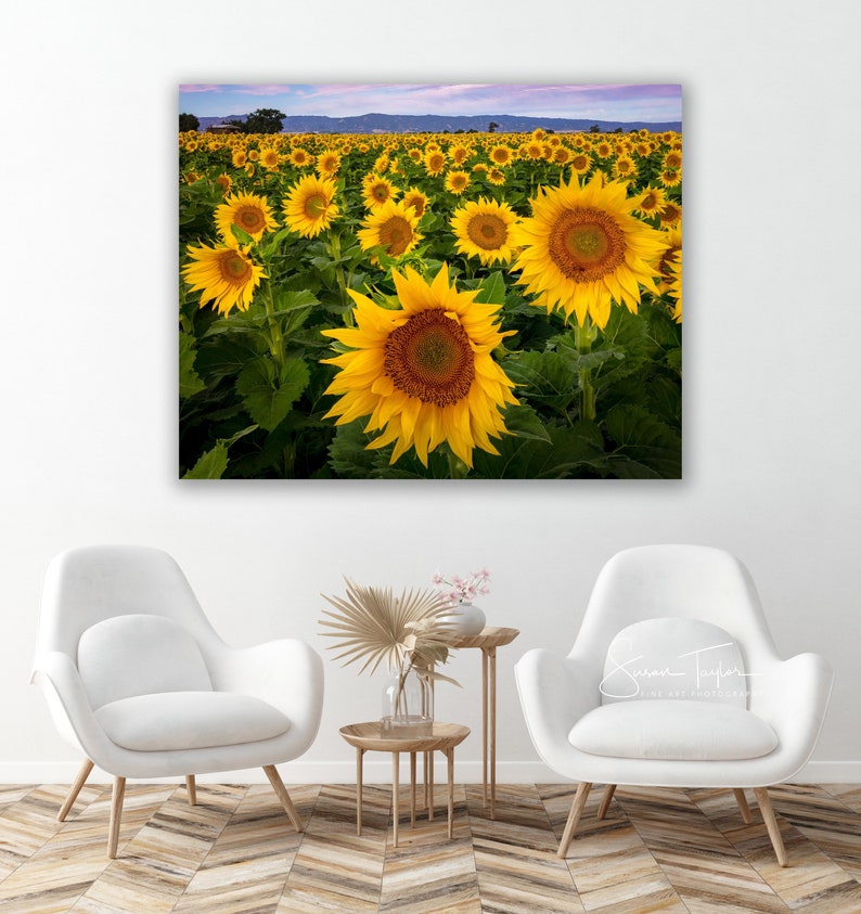 Large Canvas Flower Wall Art Sunflower Home Decor California - Etsy