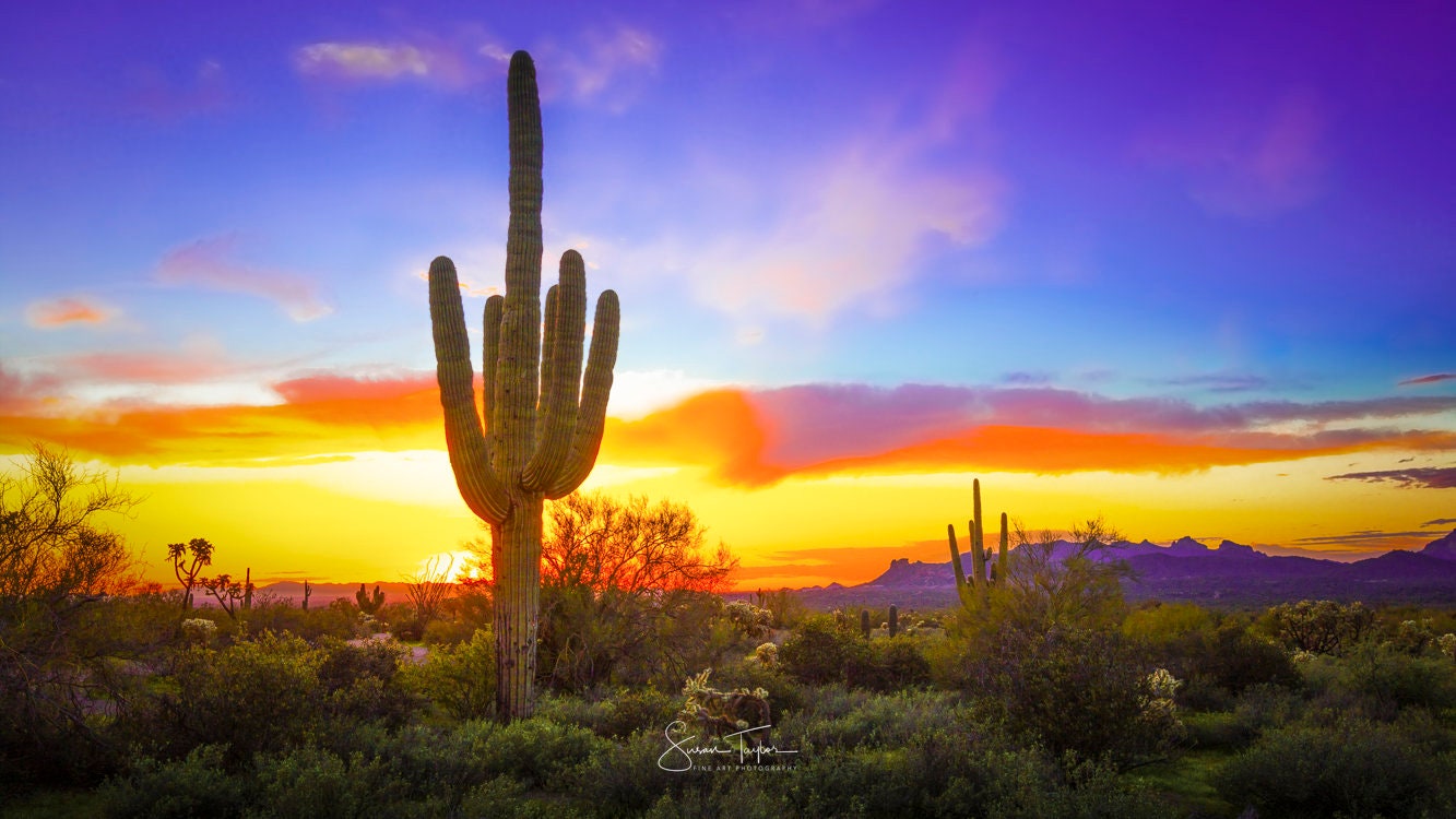 Desert Sunset Arizona Canvas, Colorful Cactus Print, Arizona Desert Extra  Large Wall Art, Rustic Sonoran Desert, Phoenix Sunset Landscape - Etsy  Israel