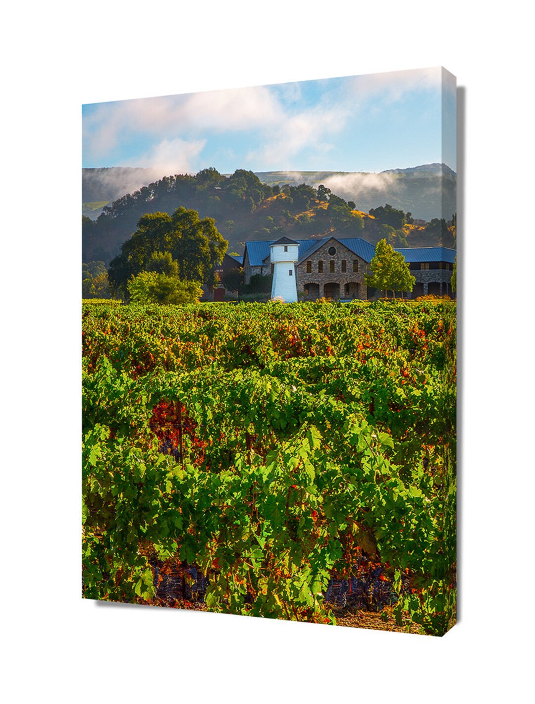 Wine Country Print Napa Valley Winery Photo California Etsy