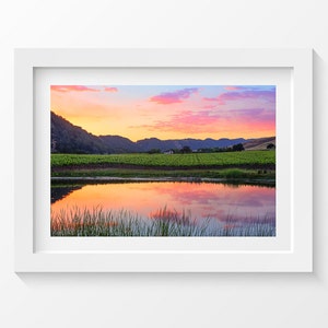 Napa Valley Art, California Wine Country, Wine Valley Sunset Print ...
