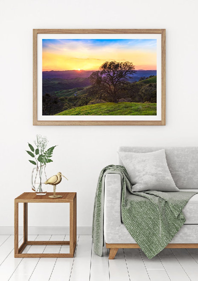 May include: A framed photograph of a sunset over rolling hills with a lone tree in the foreground. The sky is a vibrant mix of orange, pink, and purple.
