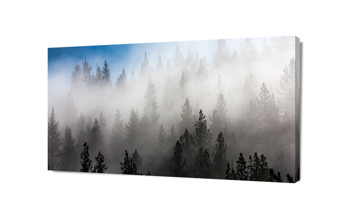Misty Forest Trees Landscape Canvas Wall Art by Dunelm