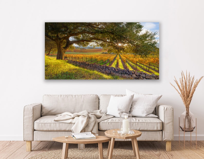 California Wine Country, Vineyard Print, Panorama Oak Tree, Large Napa Valley Photo, Autumn Home Decor Canvas, Harvest Green Gold, Oakville image 6