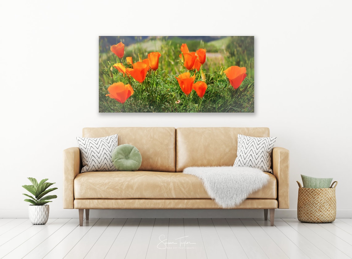 Orange Poppy Wall Art Large Poppy Canvas Print California Etsy