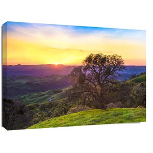 May include: A panoramic view of rolling green hills at sunset with a single tree silhouetted in the foreground. The sky is a vibrant mix of yellow, orange, pink, and blue.