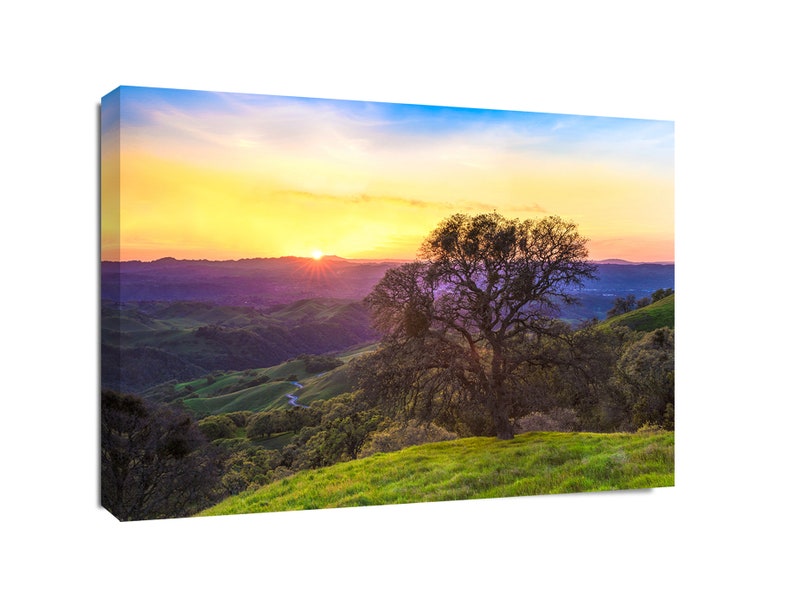 May include: A panoramic view of rolling green hills at sunset with a single tree silhouetted in the foreground. The sky is a vibrant mix of yellow, orange, pink, and blue.