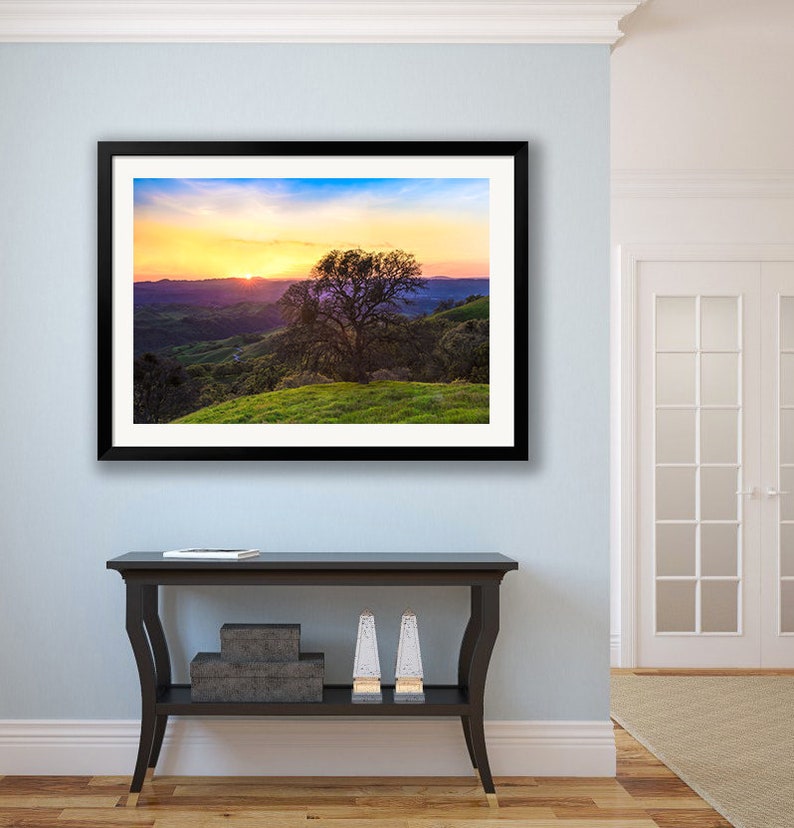May include: A framed photograph of a lone tree silhouetted against a colorful sunset over rolling hills. The sky is a vibrant mix of orange, pink, purple, and blue.