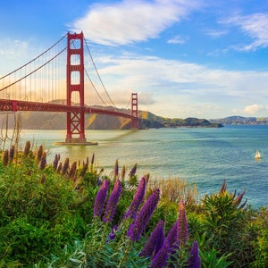 K&ouml;nnte beinhalten: Eine Ansicht der Golden Gate Bridge in San Francisco, Kalifornien. Die Br&uuml;cke ist rot und hat an jeder Seite einen gro&szlig;en Turm. Die Br&uuml;cke f&uuml;hrt &uuml;ber ein Gew&auml;sser mit einem Segelboot in der Ferne. Im Vordergrund befinden sich lila Blumen.
