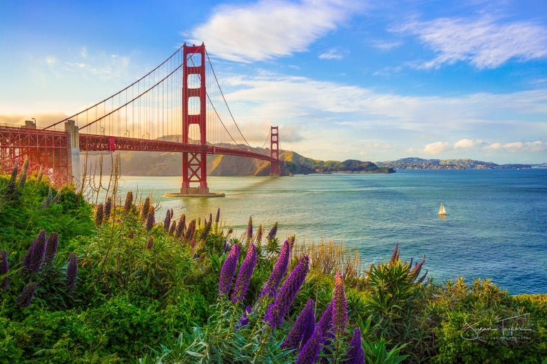 K&ouml;nnte beinhalten: Eine Ansicht der Golden Gate Bridge in San Francisco, Kalifornien. Die Br&uuml;cke ist rot und hat an jeder Seite einen gro&szlig;en Turm. Die Br&uuml;cke f&uuml;hrt &uuml;ber ein Gew&auml;sser mit einem Segelboot in der Ferne. Im Vordergrund befinden sich lila Blumen.