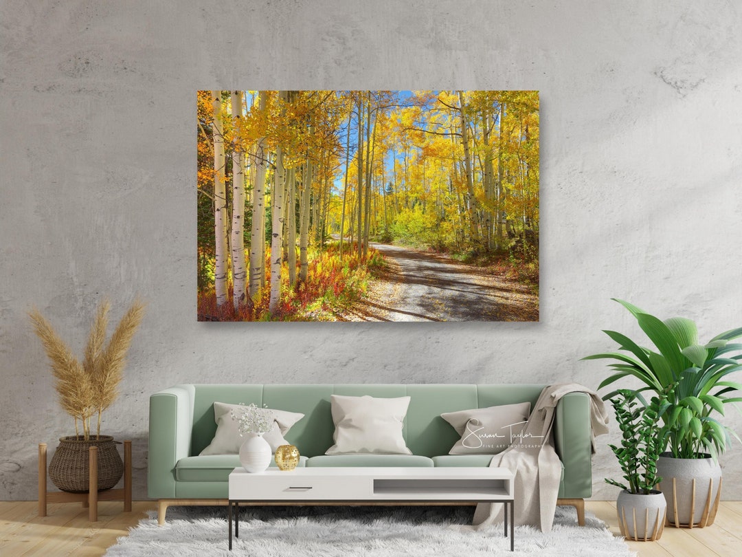 Large Colorado Fine Art Photo, San Juan Mountains Autumn Aspen ...