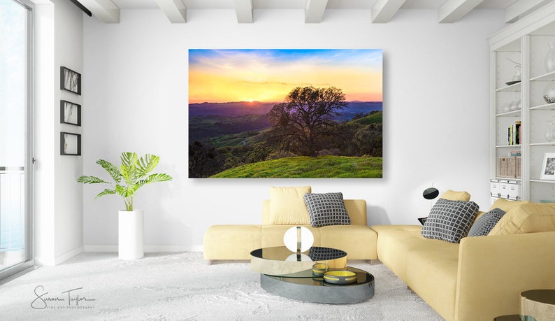 May include: A scenic landscape photograph featuring a lone tree silhouetted against a vibrant sunset over rolling hills. The sky is a mix of pink, orange, and blue hues, creating a dramatic and colorful scene.