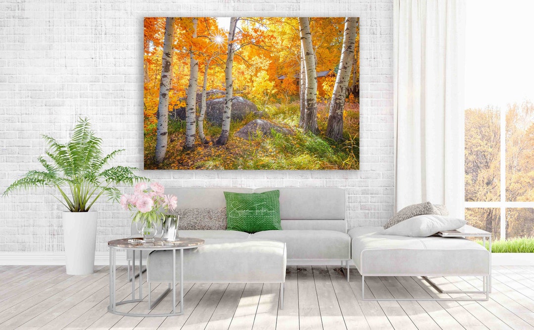 Large Aspen Cabin Fall Print Forest Photo California Autumn - Etsy