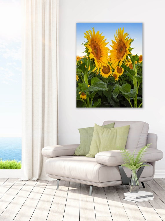 Flower Photography Sunflower Wall Decor Country Charm Art | Etsy