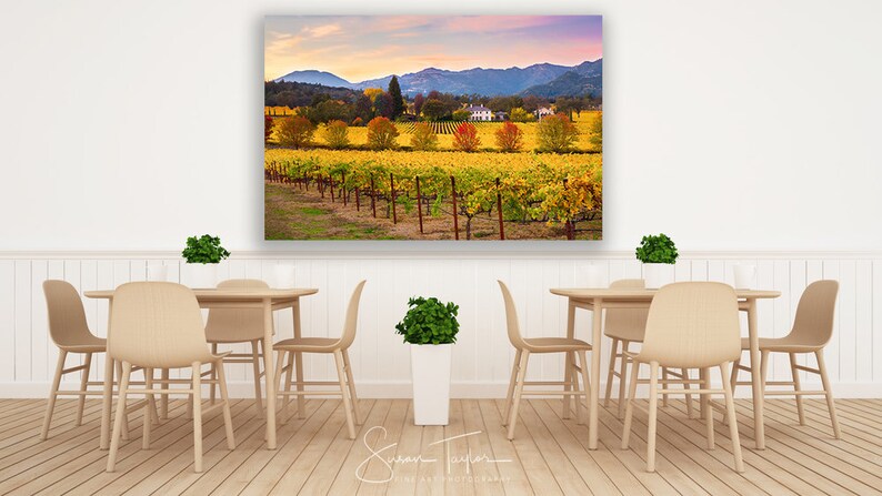 May include: A photograph of a vineyard in autumn with rows of yellow grapevines, a small village in the distance, and a mountain range in the background.