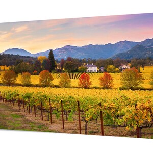 May include: A vineyard with rows of yellow and green grapevines in the foreground. A white farmhouse is visible in the distance, nestled among the hills. The sky is a soft pink and purple, with a few clouds.